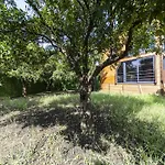 Peaceful Bungalow In Nature W Garden In Antalya