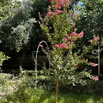 Havuzlu Bahceli Villa