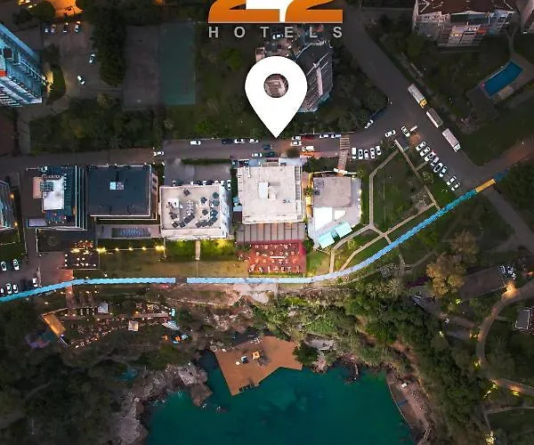 Tema 242 Hotel