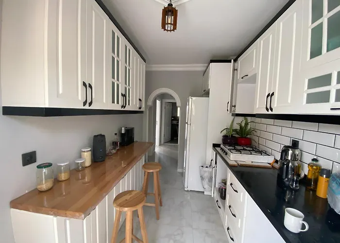 Ozer Home