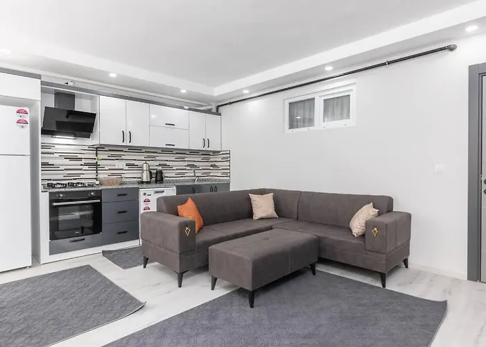 6-Sehir Merkezinde Bueyuek Modern Daire