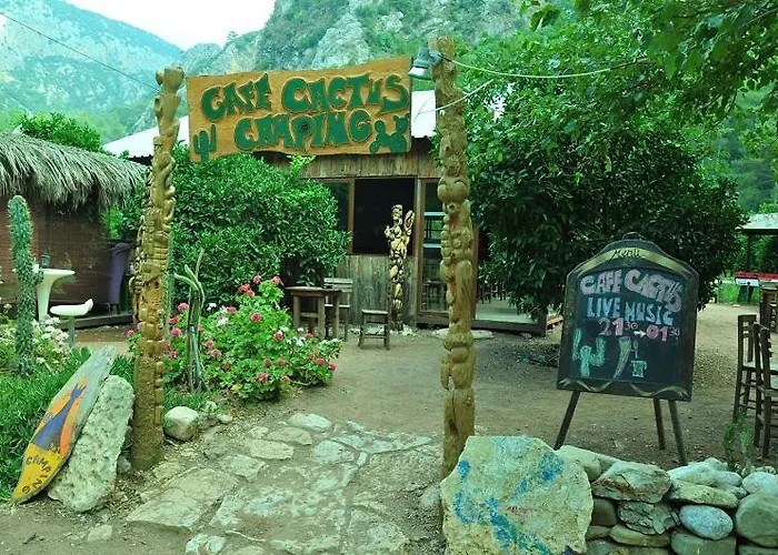 Cafe Cactus Camping