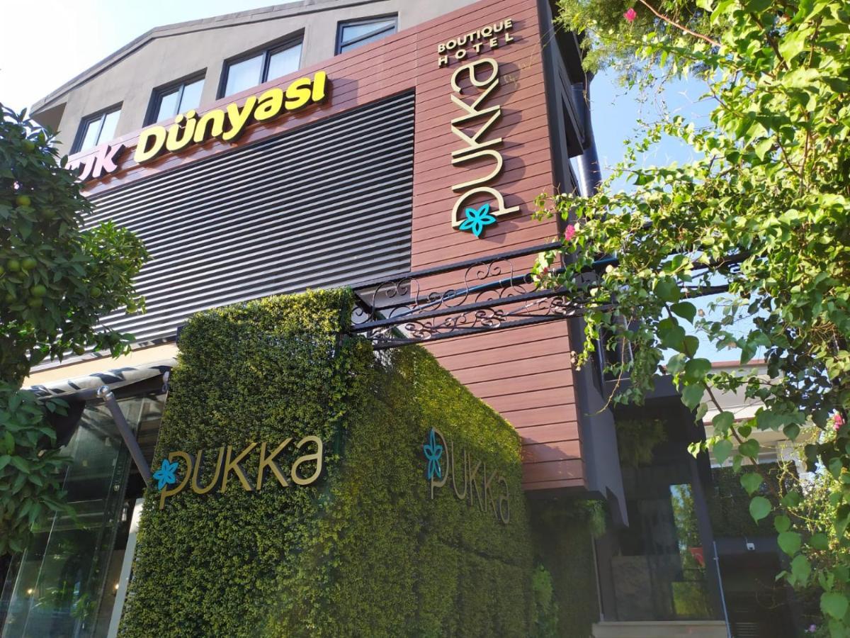 Hotel Pukka 3*