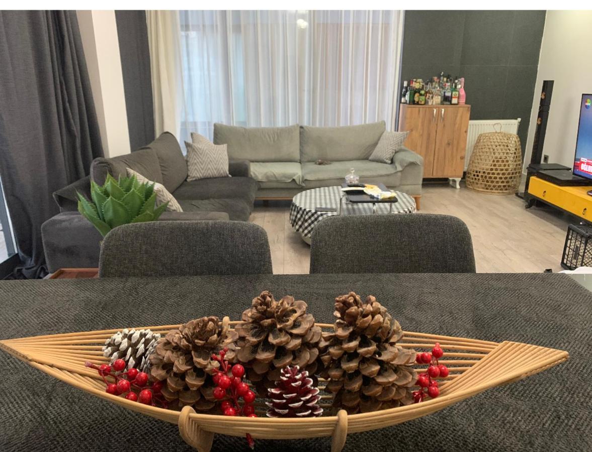 Fenix 84 Homestay