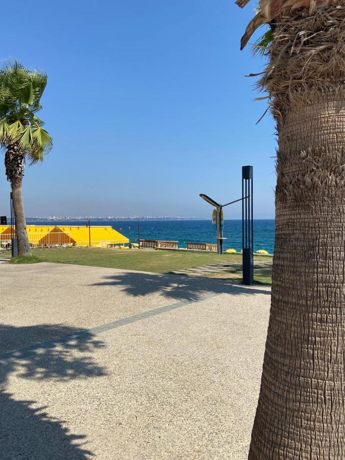 Bed & Breakfast Zeynel Boutique 3*