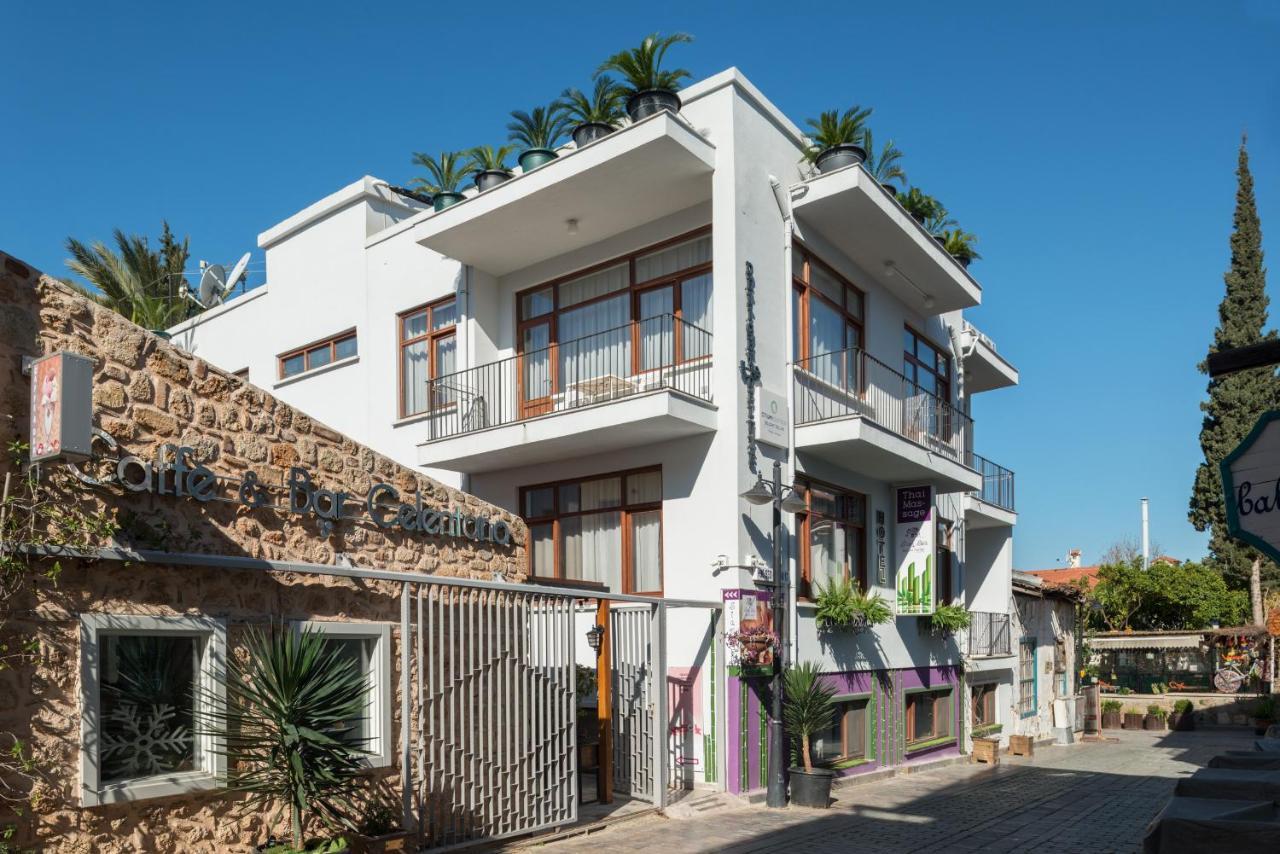 Delight Deluxe & 2* Antalya