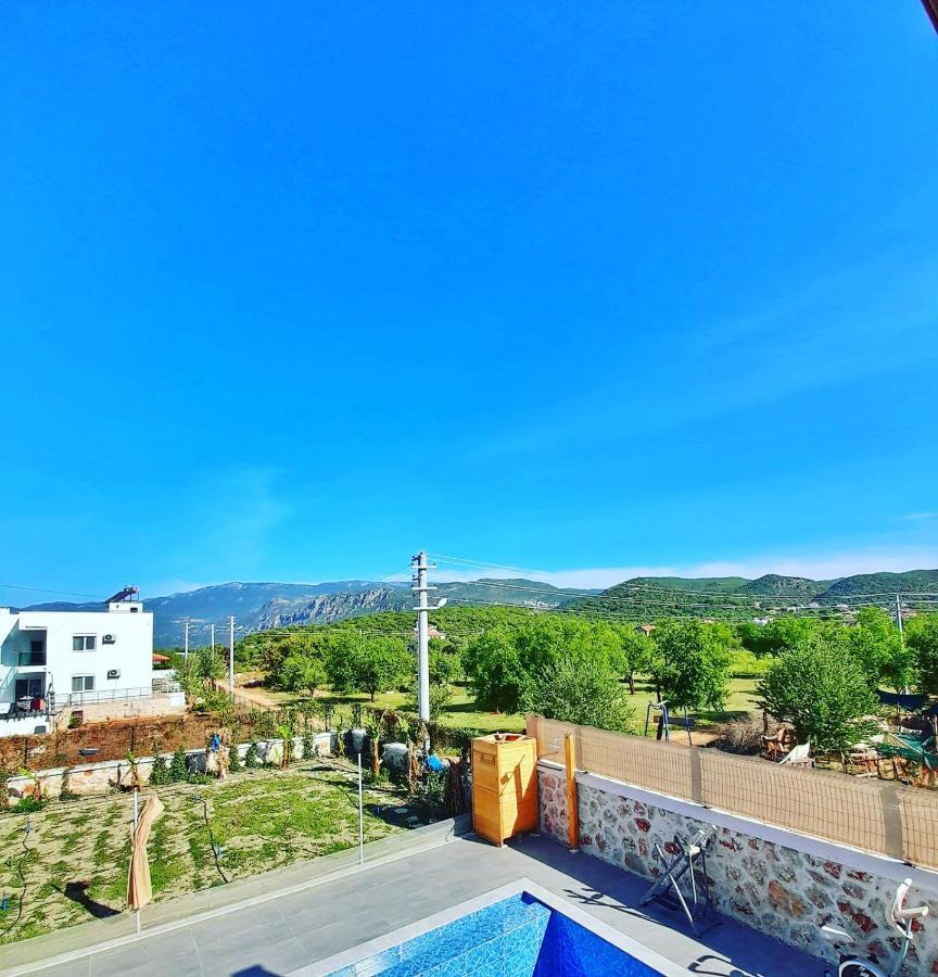 Lion Kaş