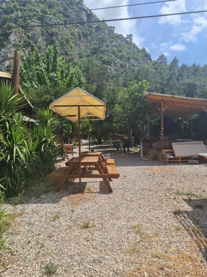 Truva Homestay Antalya