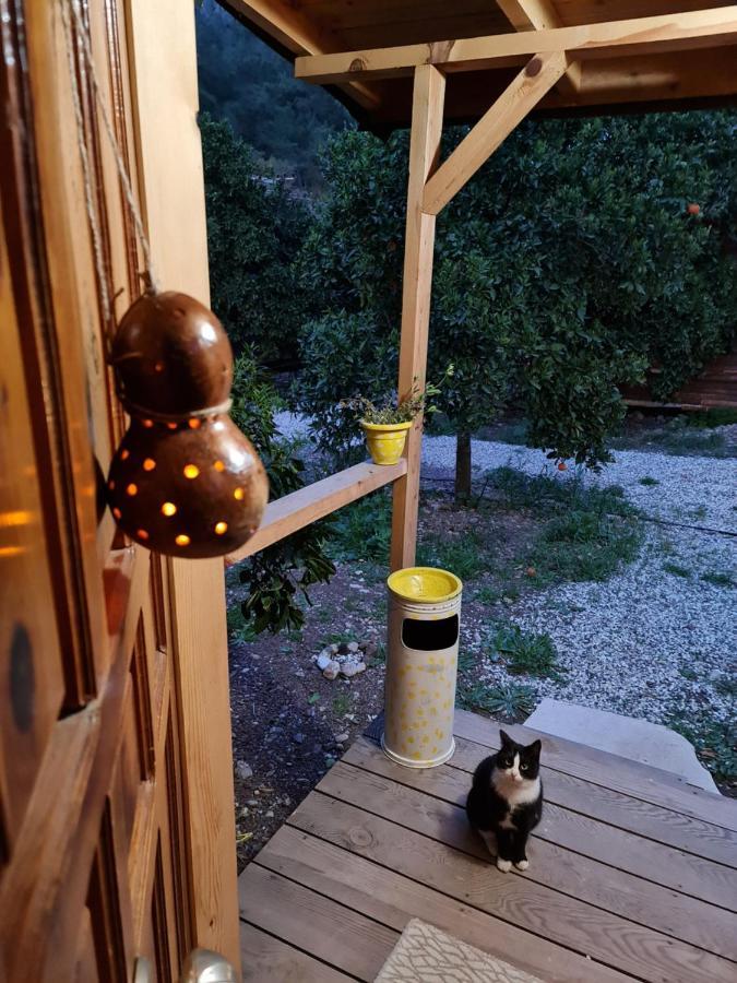 Truva Homestay Antalya