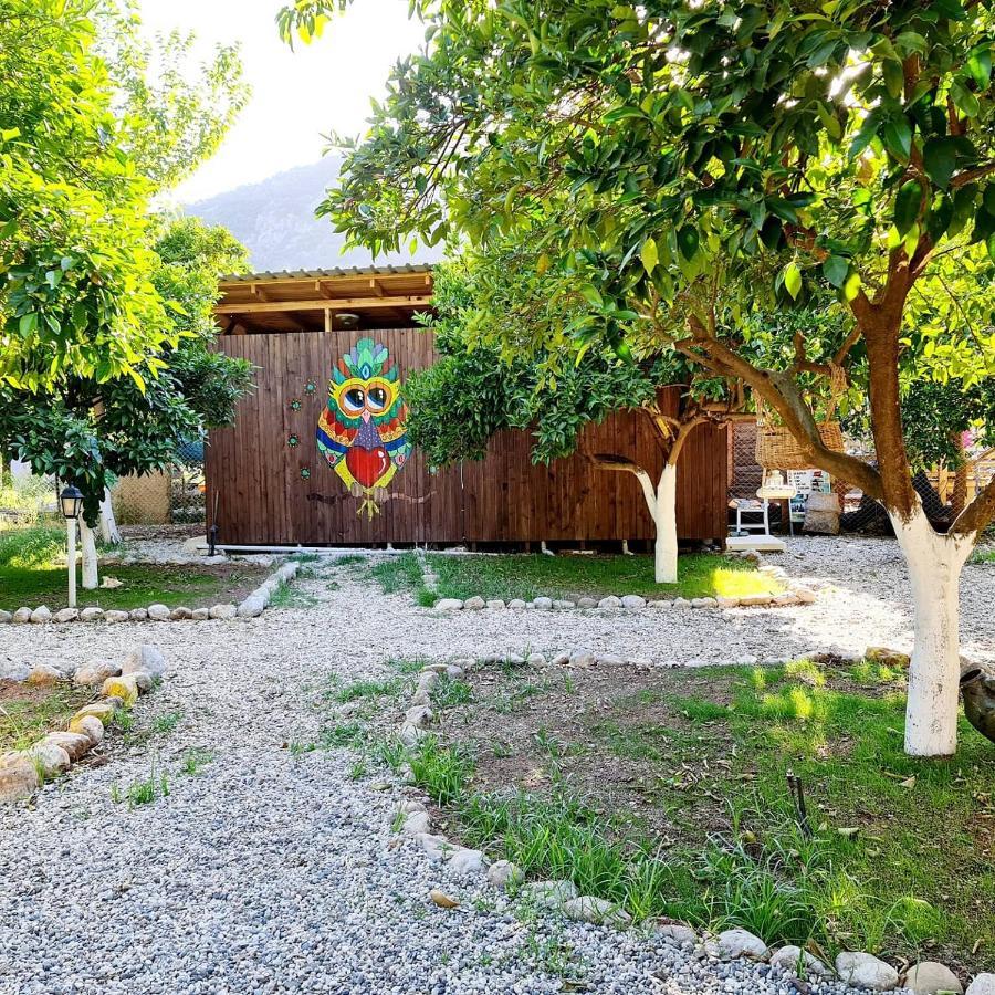 Truva Homestay