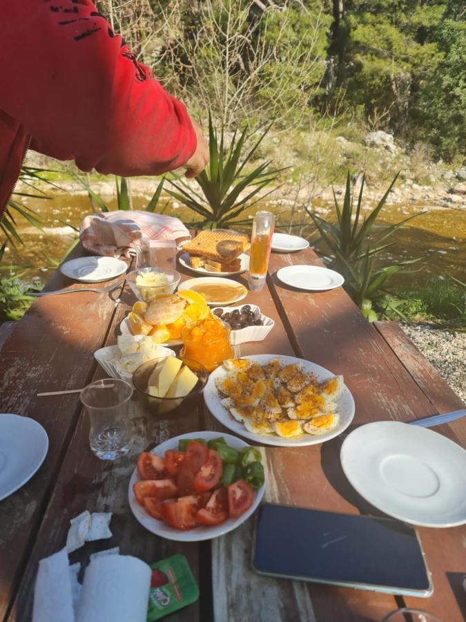 Truva * Antalya
