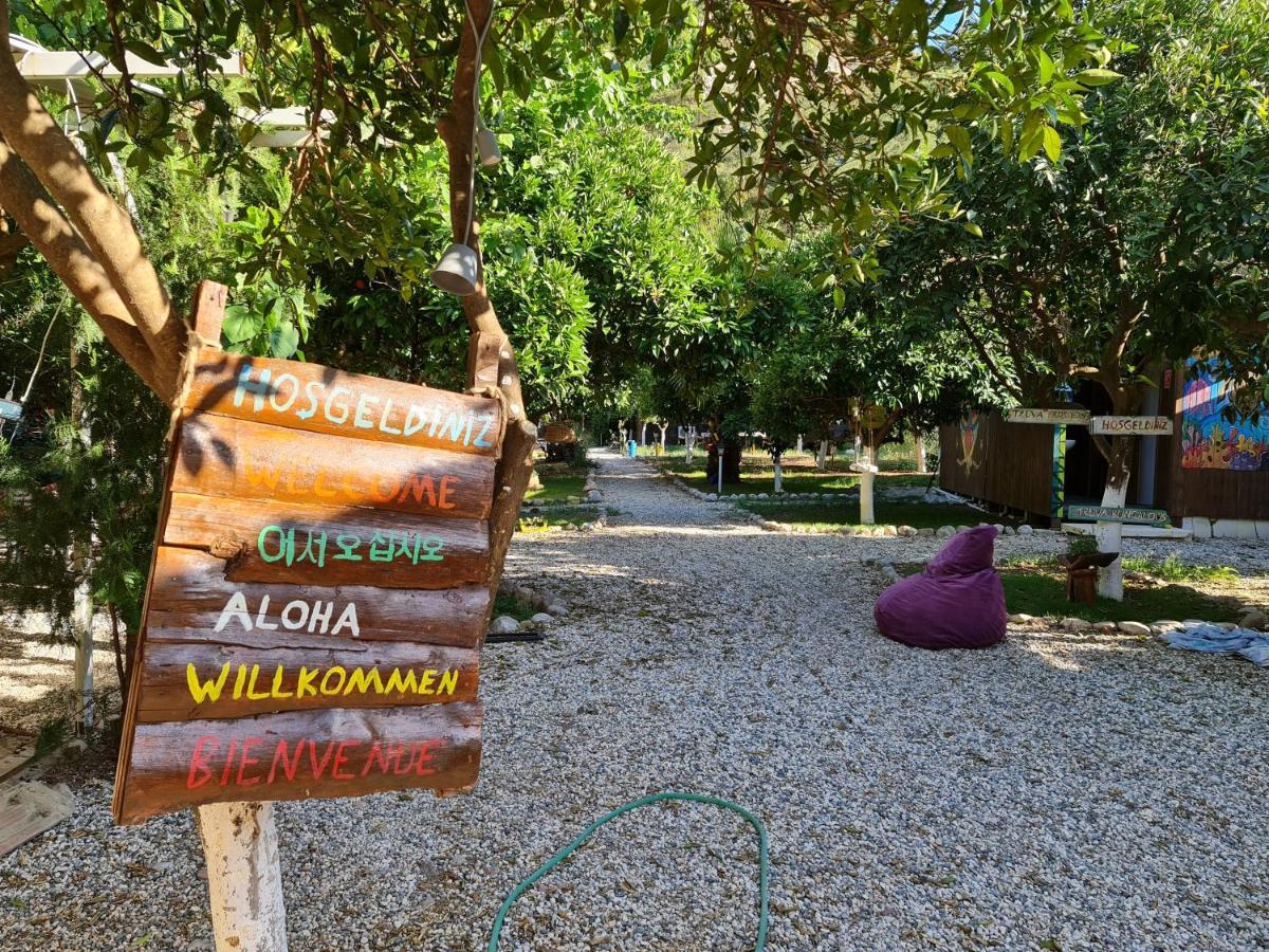 Homestay Truva