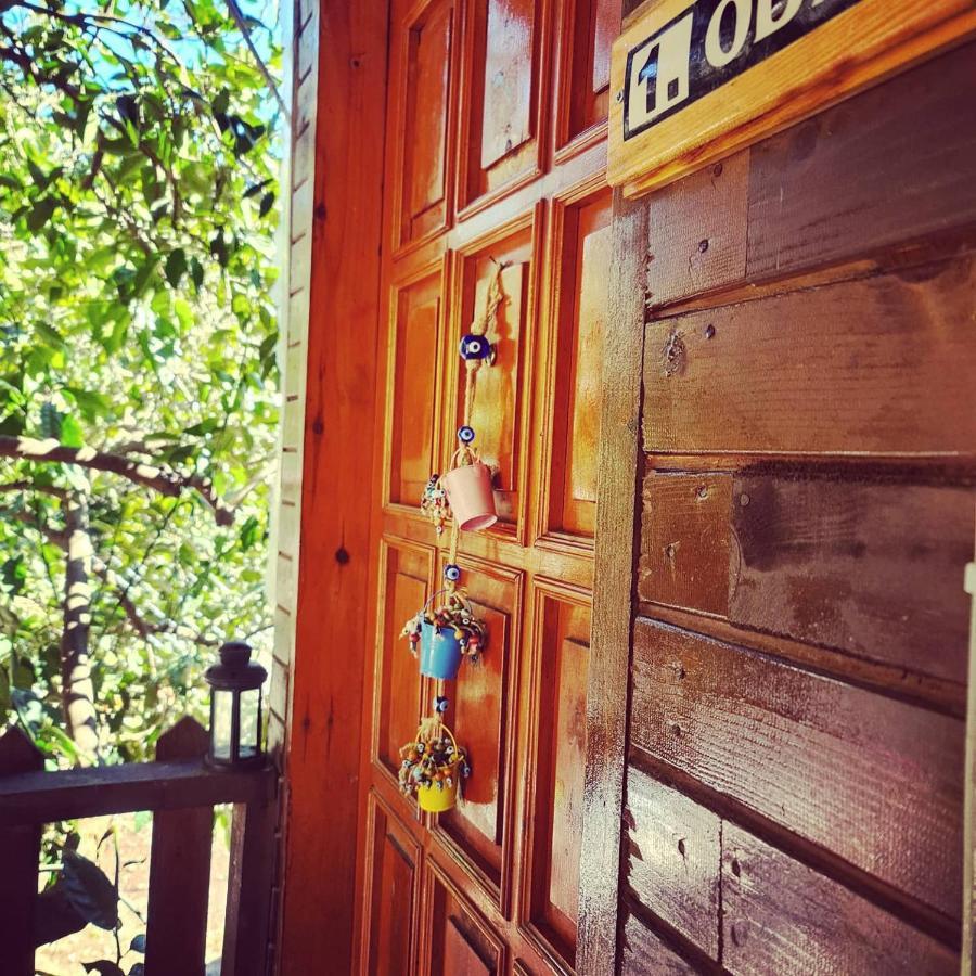 Truva Homestay