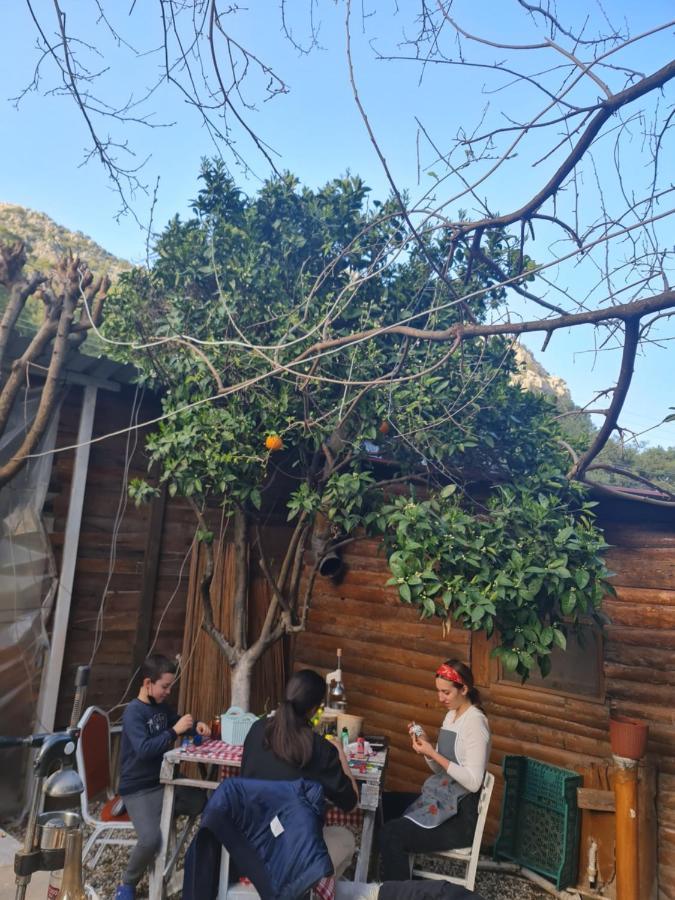 Truva * Antalya