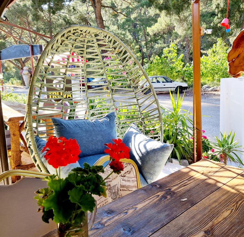 Truva Homestay