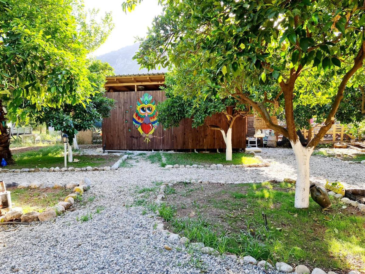 Truva Homestay Antalya