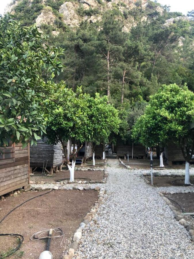 Truva Homestay