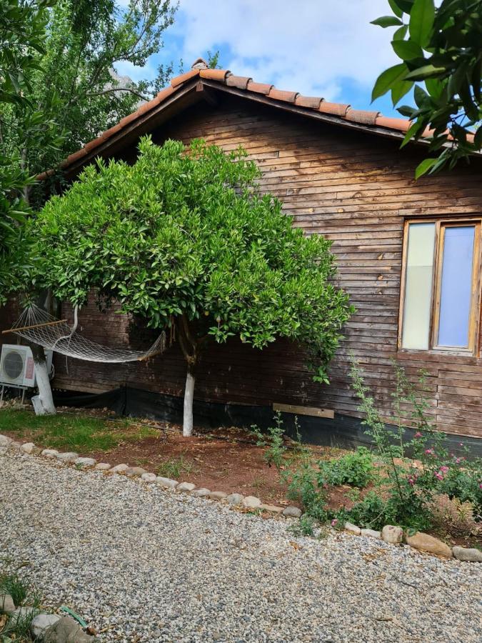 Homestay Truva Antalya