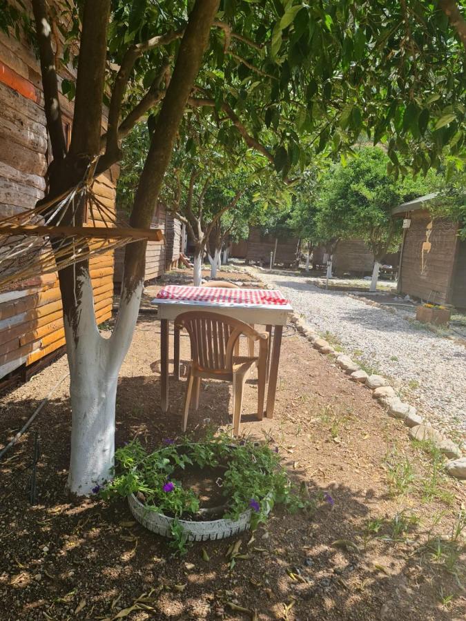 Truva * Antalya