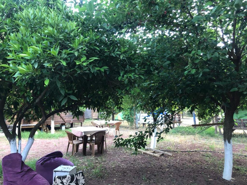 Truva Homestay