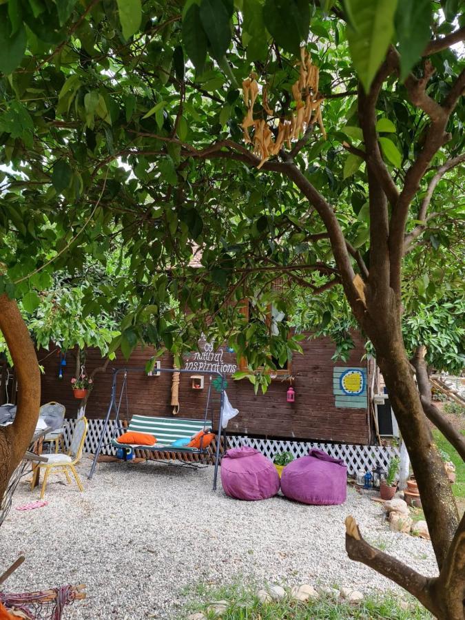 Truva Homestay