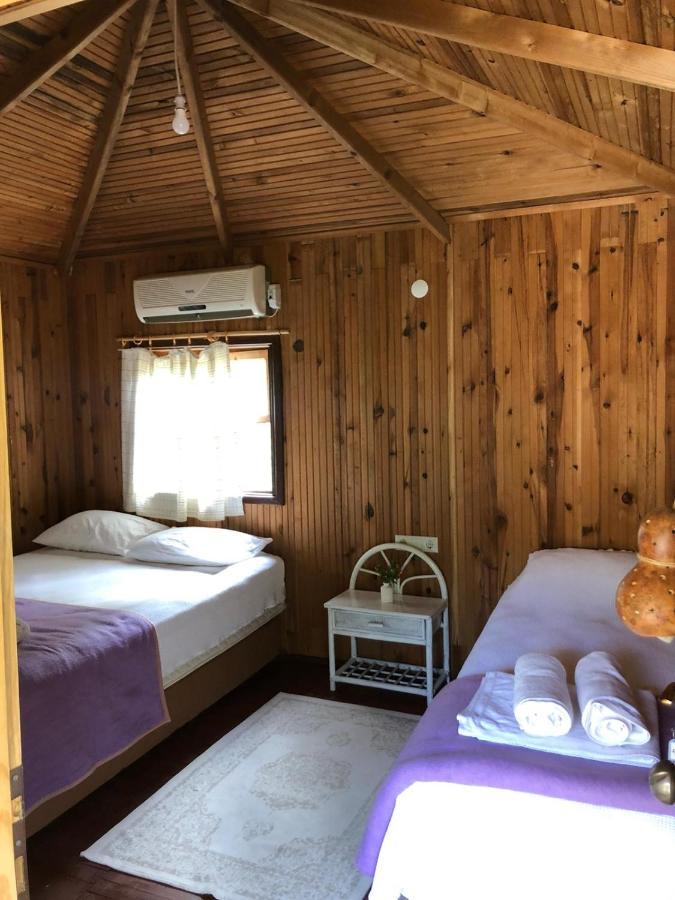 Truva Homestay *