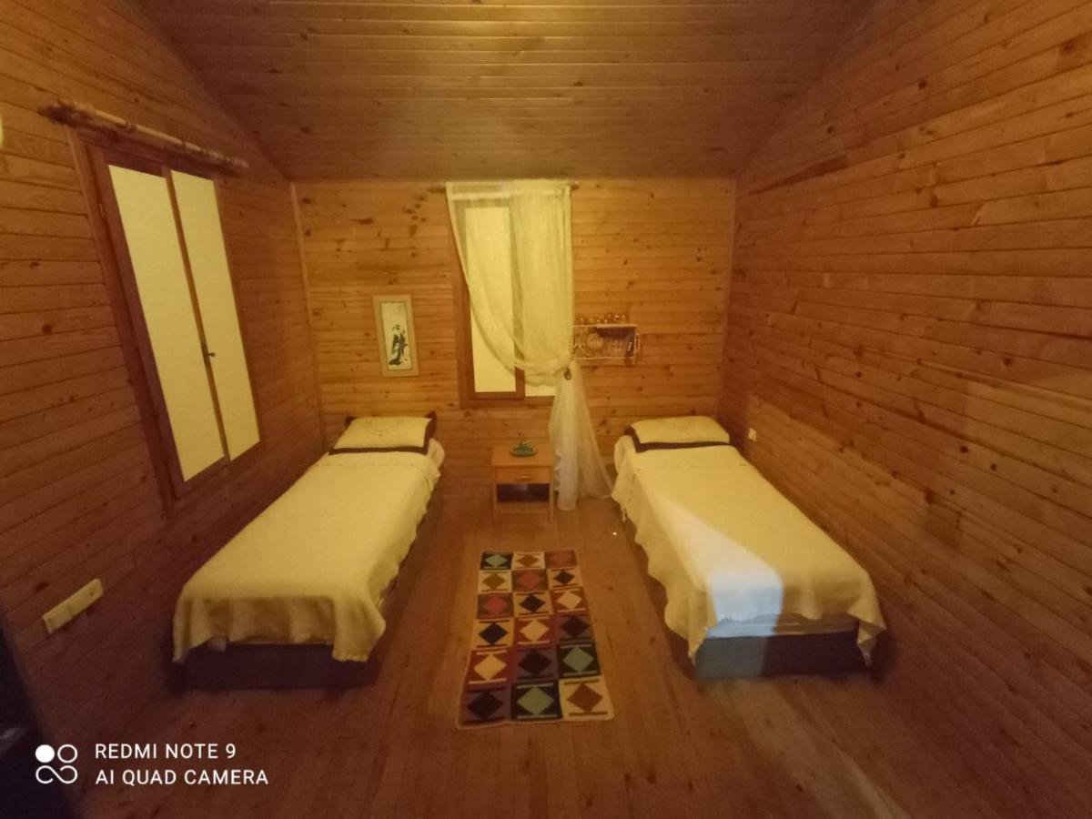 Truva Homestay *