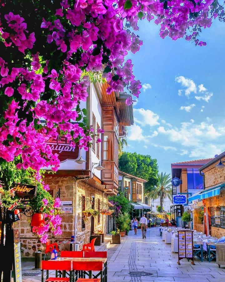 Holiday House Daire Antalya