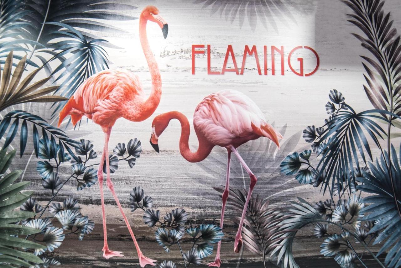 Aparthotel Flamingo