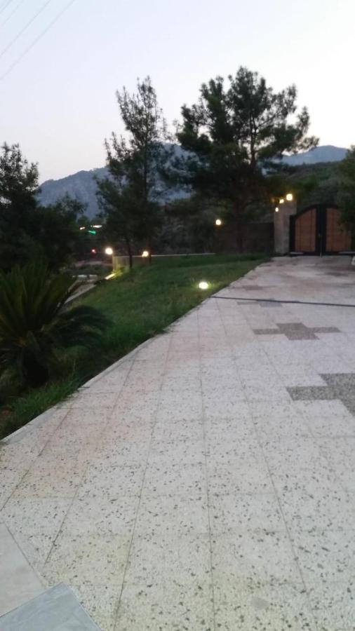 Origine An2 *