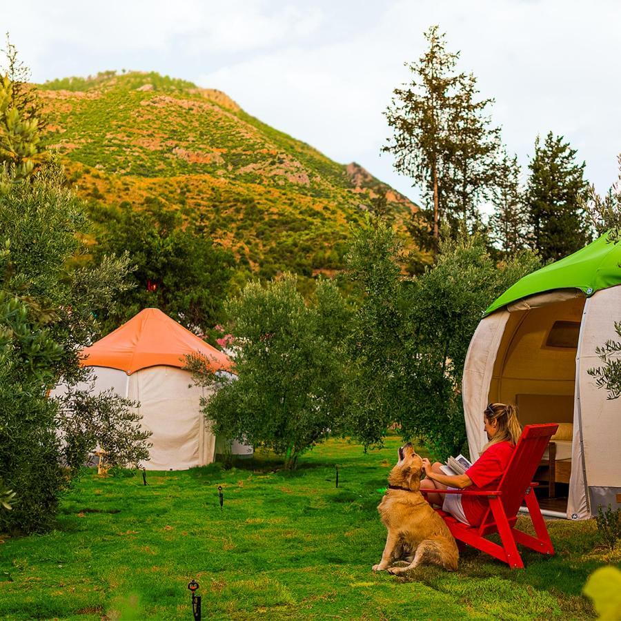 Luxury tent Chingene Glamping