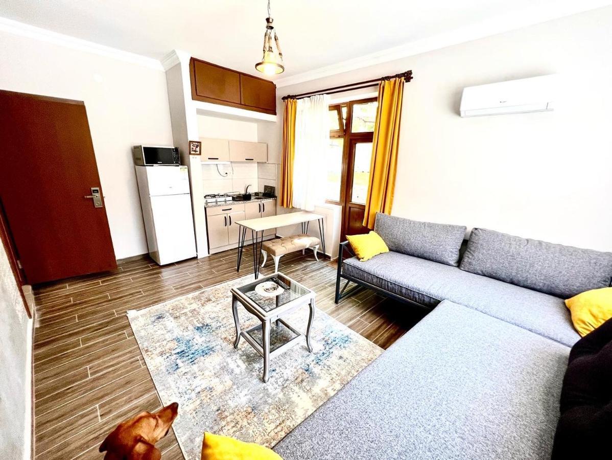Old Town Apart Apartment