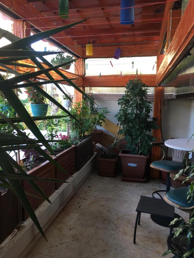 Orange Garden Homestay