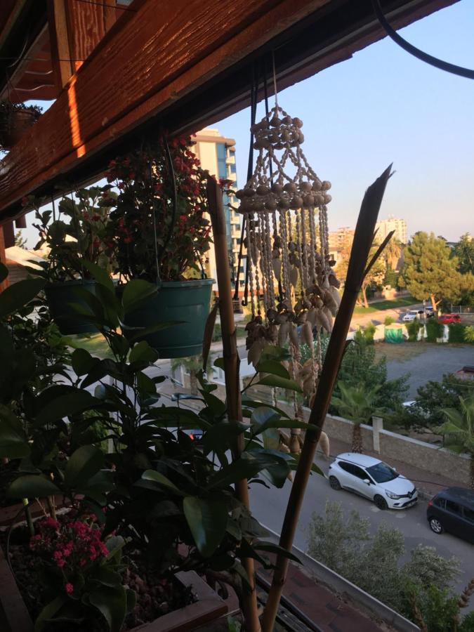 Orange Garden Homestay *