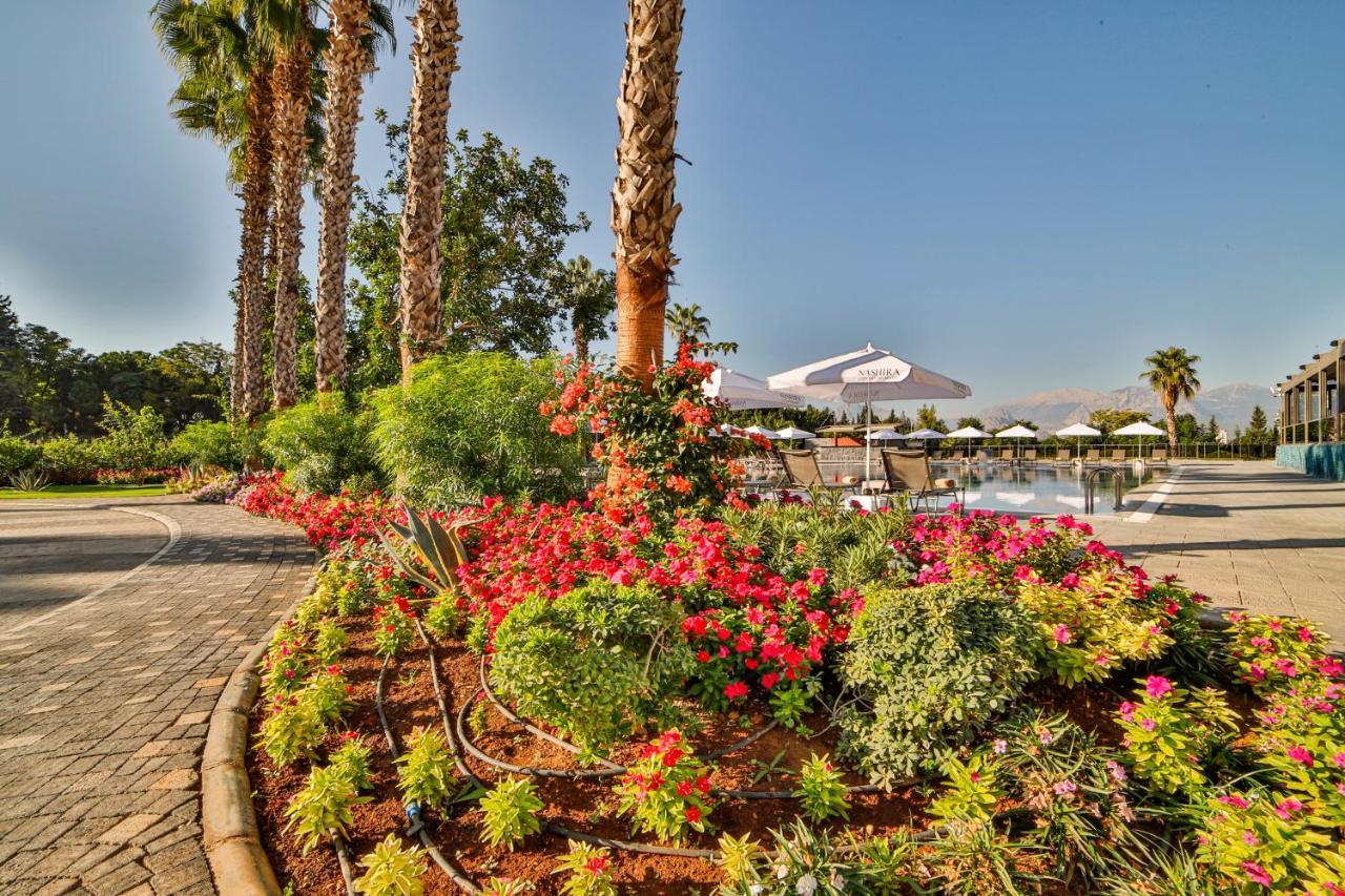 Nashira Antalya