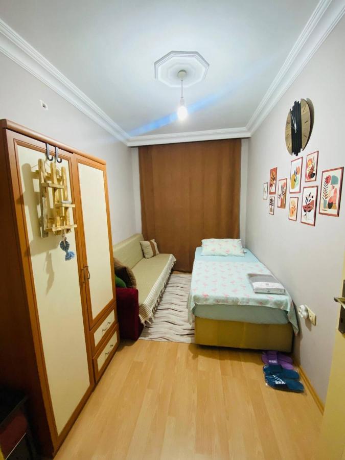 Mugo Cheap Sleeping Houses * Antalya