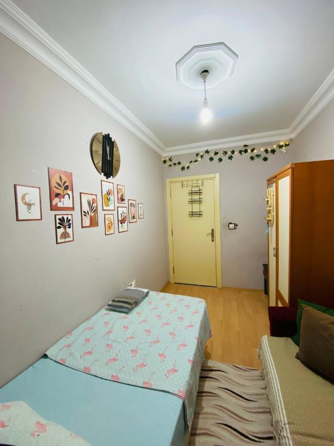 Mugo Cheap Sleeping Houses Antalya