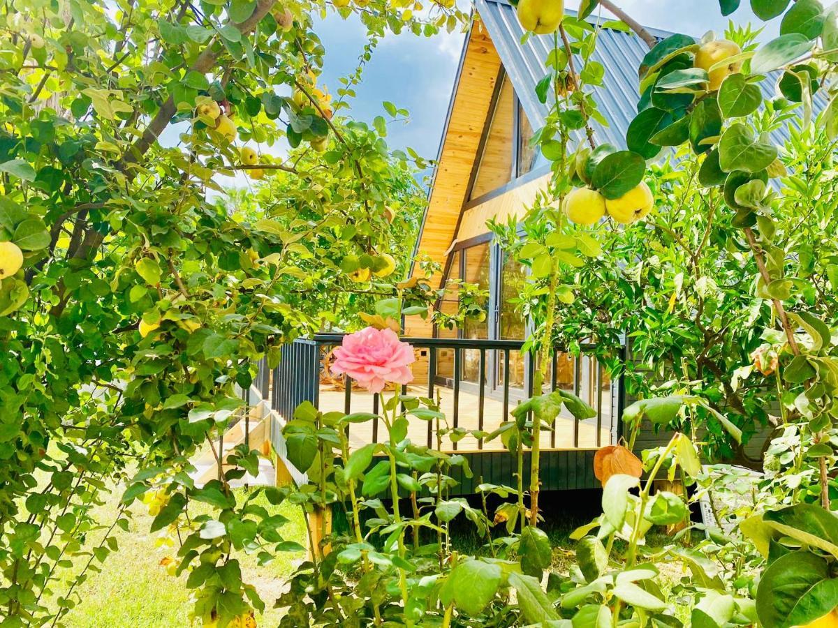 Hotel Garden *
