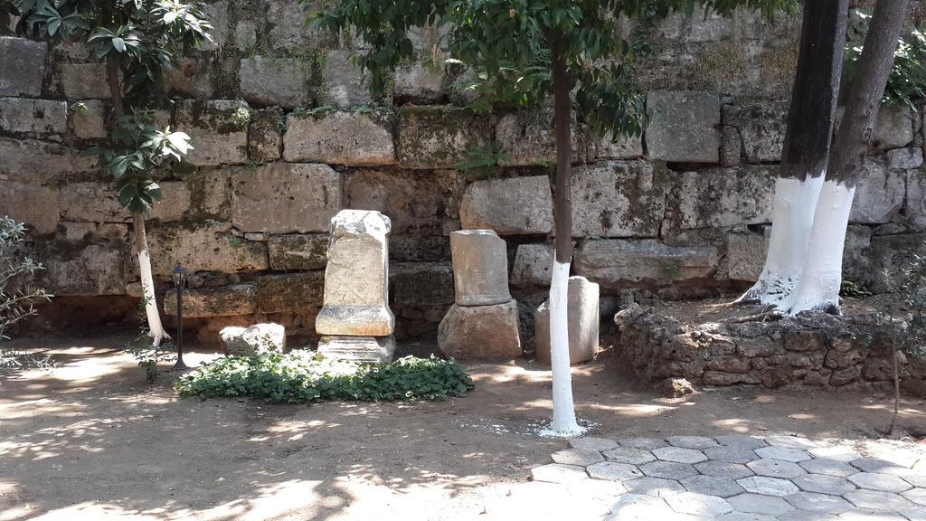Citrus Garden Hotel