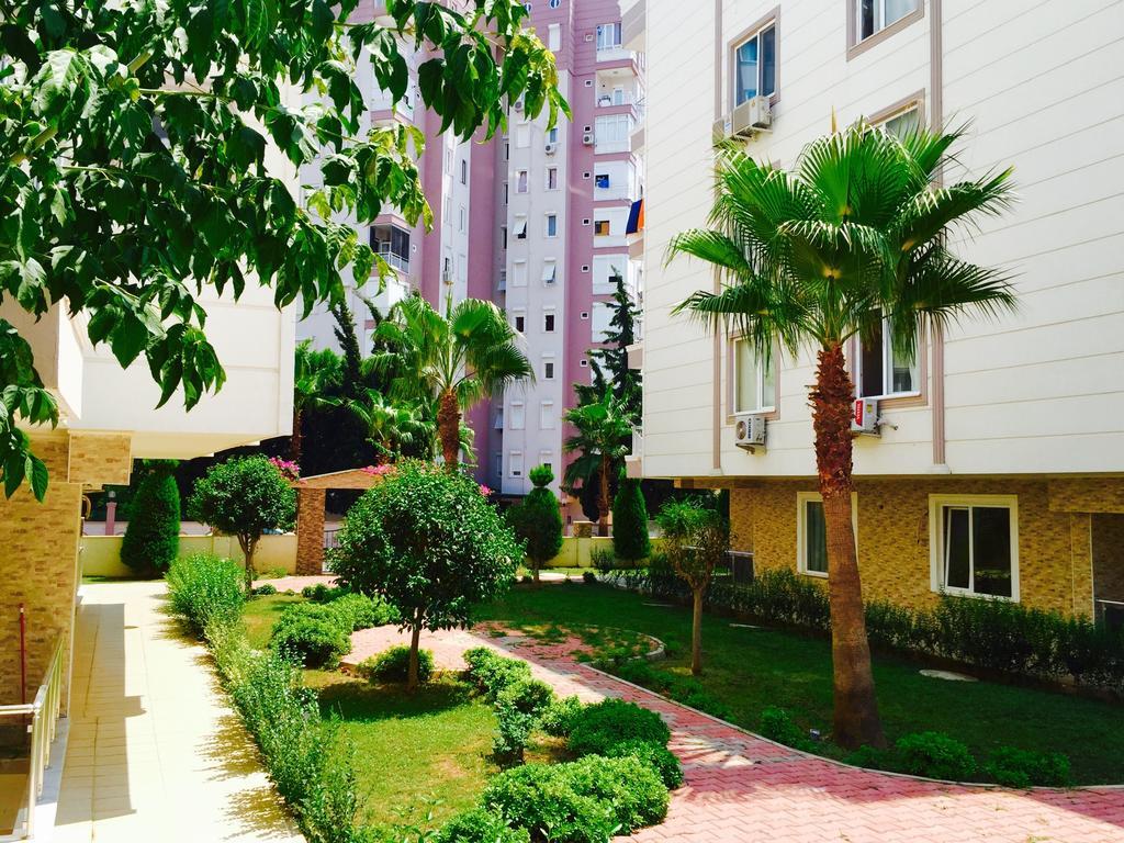 Aslan Antalya