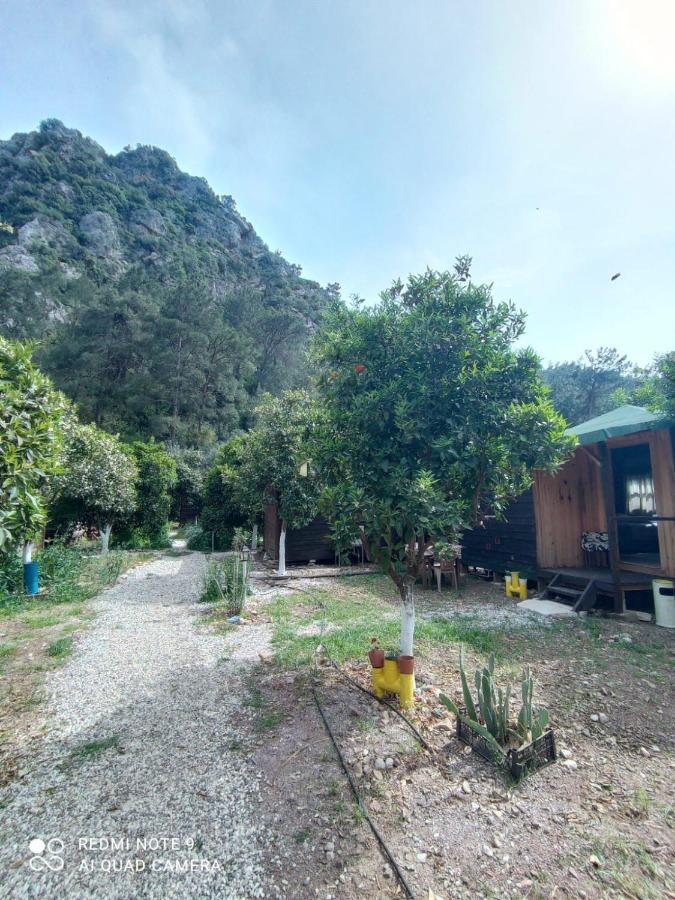Truva Homestay Antalya