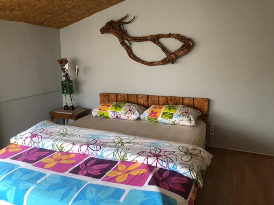Tarihi Kaleici Muhtesem Dizayn Huzurlu Keyifli Teras Keyifli Oezel Ev Homestay Antalya