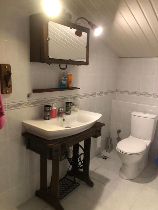 Tarihi Kaleici Muhtesem Dizayn Huzurlu Keyifli Teras Keyifli Oezel Ev Homestay *