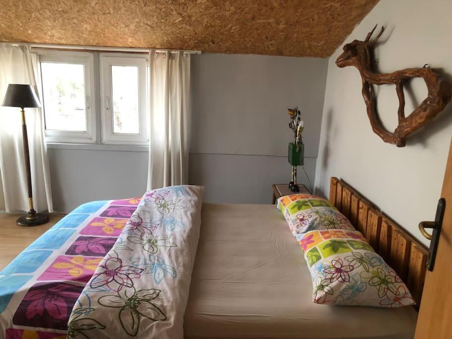Tarihi Kaleici Muhtesem Dizayn Huzurlu Keyifli Teras Keyifli Oezel Ev Homestay Antalya