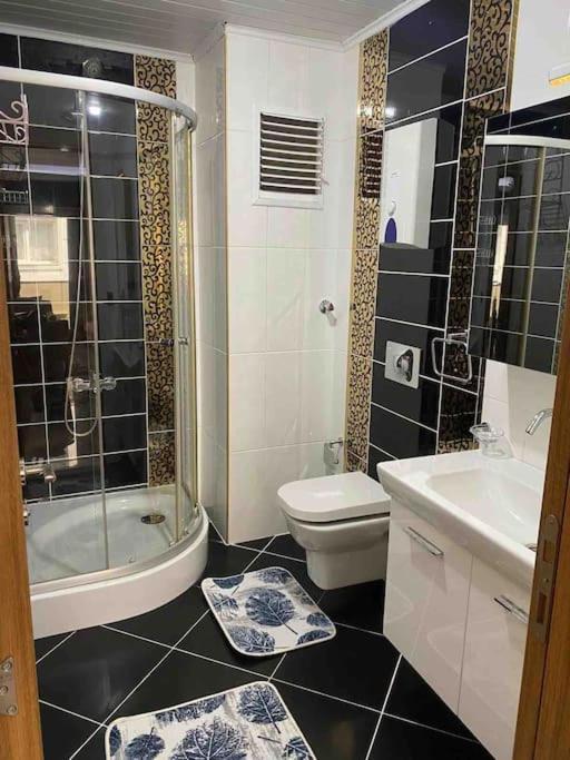 Liman 1+1 Apartment Antalya