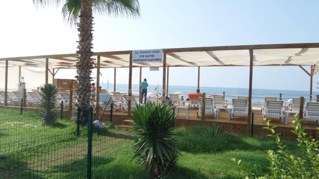Guenes * Antalya