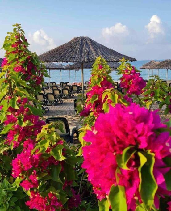 Apartment Riviera 100m Away From The Sea, 2 Bedroom *