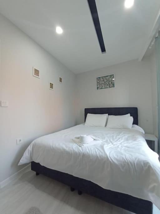 Stylish 1-bedroom Apart In Dw Apartment *
