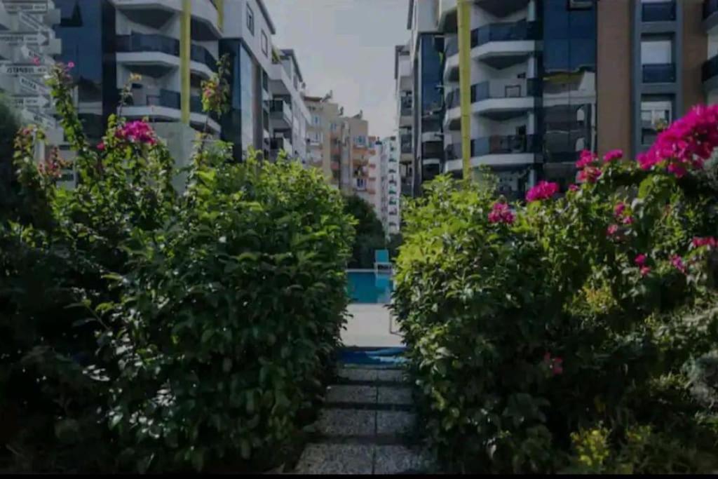Apartment Konyaalti'nda Luks Havuzlu 1+1 *