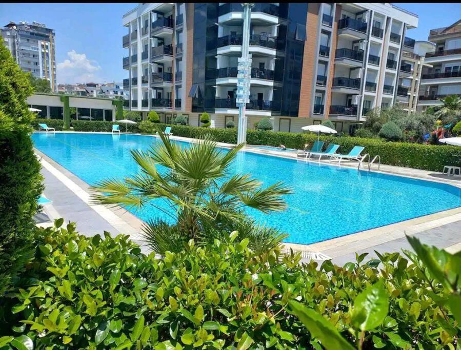 Apartment Konyaalti'nda Luks Havuzlu 1+1 Antalya